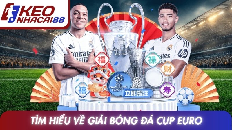 EURO 11 Tìm hiểu về giải bóng đá Cup Euro