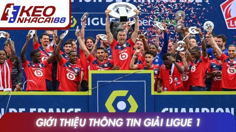Ligue 1 11 Giới thiệu thông tin giải Ligue 1